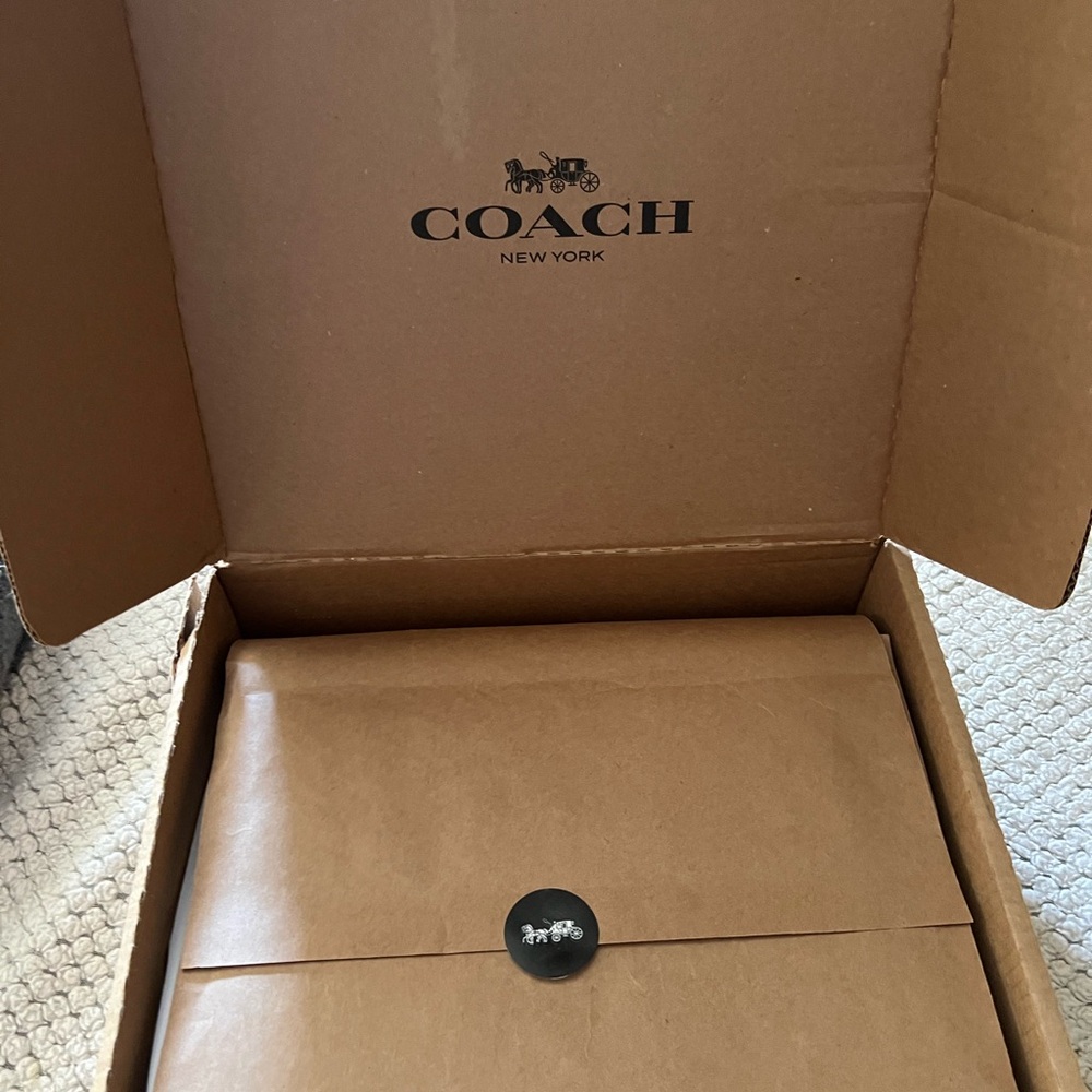 Coach X Disney Dumbo